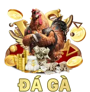 Báo cáo phân tích